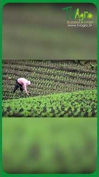 Tv Agro tiene un compromiso con ustedes y es mantenerlos actualizados en lo que pasa con el agro