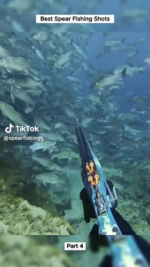 Spearfishing Basics: Essential Techniques for Beginners