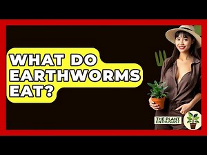 What Do Earthworms Eat? - The Plant Enthusiast