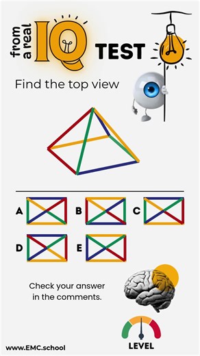 Think you’ve got a sharp eye for 3D shapes? 👀 This puzzle comes straight from a real IQ test! Try to imagine the pyramid from above and choose the correct top view. Drop your answer in the comments — A, B, C, D, or E — and challenge your brain! #IQTest #BrainChallenge #VisualPuzzle #3DPuzzle #MathFun #GeometryChallenge #OpticalIllusion #BrainWorkout #PuzzleTime #CoffeeBreakMath #EMCschool
