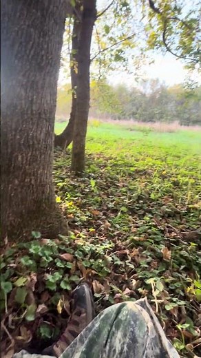 Fall turkey hunt, good night out tonight, no birds yet tho