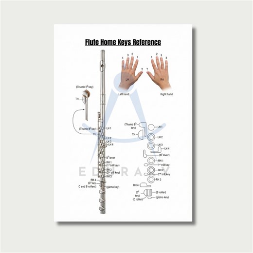 Beginner Flute Fingering Chart - Home Keys Reference Printable - Etsy