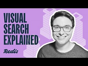 What is visual search?