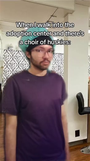 #greenscreen | husky