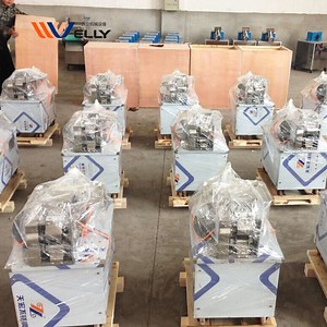 [Hot Item] Russia Dumpling Empanada Wonton Vareniki Tortellini Making Maker Machine 4800PCS/H