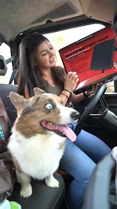 98K reactions · 2.2K shares | Smarter, faster, and more connected than ever before. Experience Stealth Cam today! | Stealth Cam | Facebook