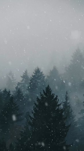 Snowy Forest - Live Wallpaper #livewallpaper#livewallpapers