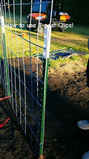 T Post Installation: How to Use T Post Clips for Your Garden Project
