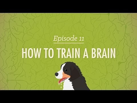 How to Train a Brain: Crash Course Psychology #11