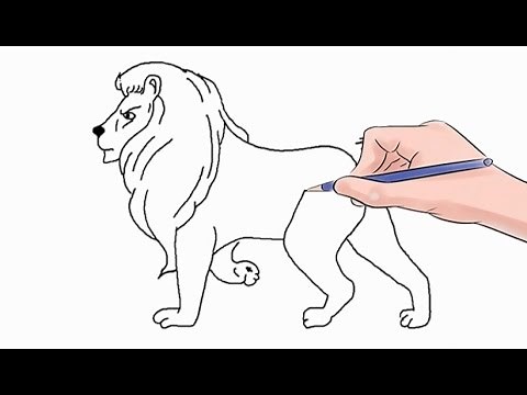How to Draw a Lion Easy Step by Step
