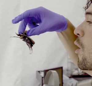 8.3M views · 27K shares | The future is crawling towards us on six...