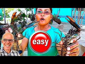 BREEDING CRAYFISH: Home Tank Setup - Easier than YOU Think!