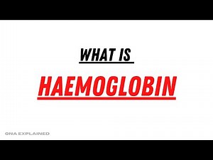 Haemoglobin: Oxygen Carrier of the Body | Function & Importance