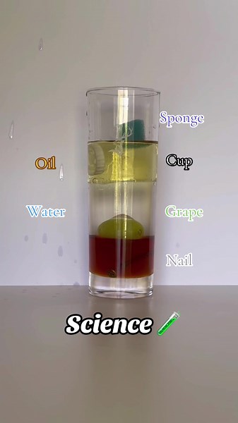 Fun Science Experiment for Kids: Honey, Water, and Oil Magic!