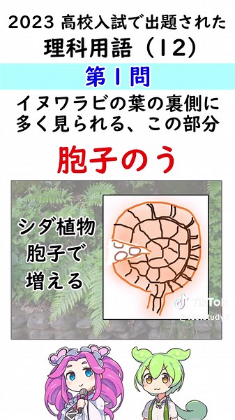 高校入試に出た理科用語を解説！塩化ナトリウムとは