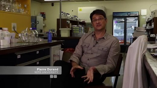 How and why single cell organisms evolved into multicellular life