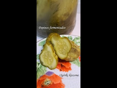 Como preparar Pepinos Agridulces Fermentados - Ogórki kiszone