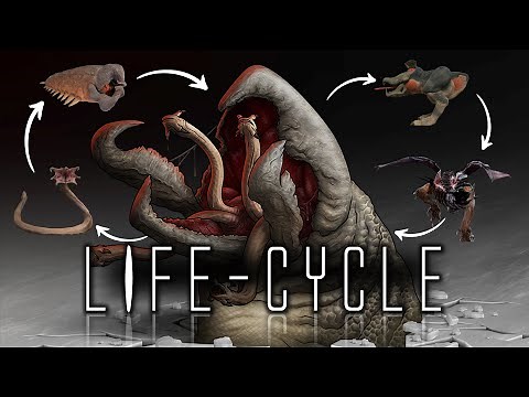 Graboids - 6 Stage life cycle + Origins Explained!!