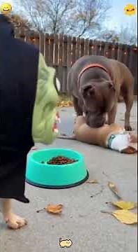 #illustration #tattoo #art #pov #procreate #drawing #whydidntmyexcomeback#digitalart