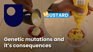 What is genetics? And how can it affect our health?