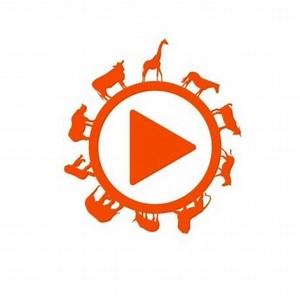 Presidio SF Red Tail Hawk Nest Cam