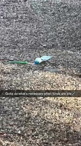 6K reactions · 66 shares | Access up to $750 of your paycheck in advance with Current if qualified. | Current | Facebook