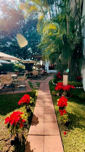 El Chef Pascal te invita a celebrar la Navidad en La Provence con una cena llena de sabor, tradición y detalles que marcan la diferencia. 🎄✨🇫🇷🍷 | La Provence Hotel Boutique & Restaurant