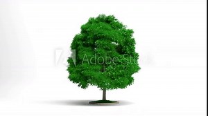 abstract tree with grass as leaves - 3d rendering