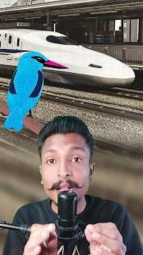 Why Japan's Superfast Train Was Inspired by a Bird The Wonder of Nature #japantravel #trains #eng...