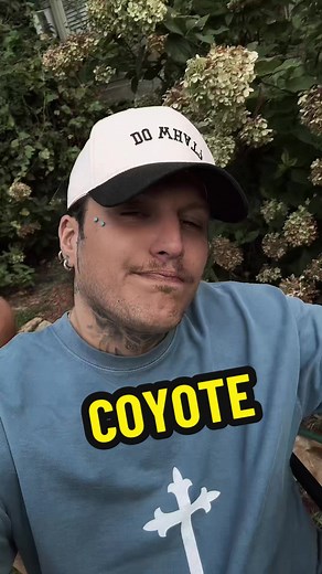 Dale Murphy's New Album Release on October 3rd