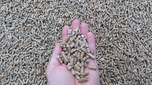 RECTEQ (REC TEC) Error Codes & Fixes: For All Pellet Grills