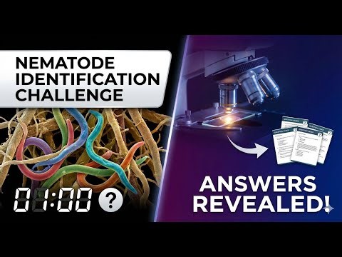 Can You Pass This Parasitology Identification Test?