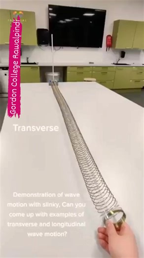 Transverse vs Longitudinal Waves #foryou #Physics #wave #oscillations | House of Physics