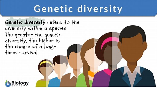 Genetic diversity Definition and Examples - Biology Online Dictionary