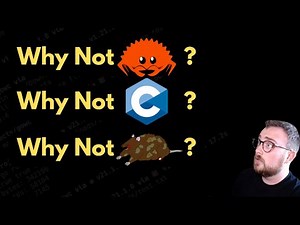 Why Zig over Rust, C, C++, Odin, Nim, etc?