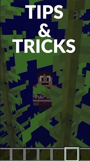 Secret #minecraft painting door! 🚪