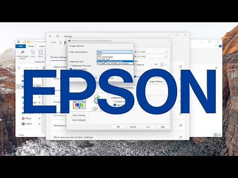 How to Enable Color Correction in Epson Printer [Guide]