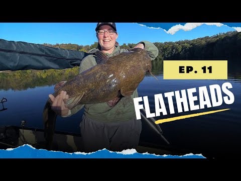 Flathead Fishing : Techniques and Tales | Episode 11