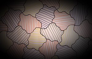 Calculs avec les pourcentages : exercices corrigés