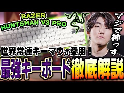 【最強キーボード紹介】世界常連キーマウによるRAZER HUNTSMAN V3 PRO徹底解説【メルトステラ/RAZER/APEX/NOEZ FOXX/MM1427】
