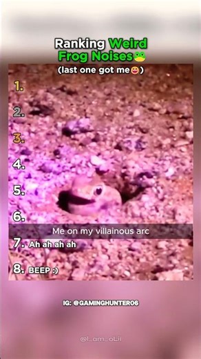 Top 8 Weirdest Frog Noises You've Ever Heard
