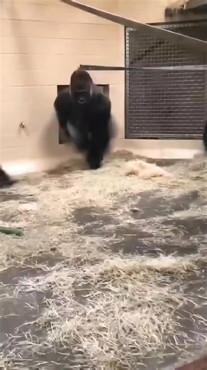 Auto parts 1A Auto Parts Excavator spare parts made in korea hydraulic pumps motors components | Keshen motor produce co.,ltd