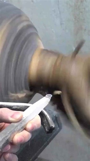 Watch me craft magic from a root ball! ✨