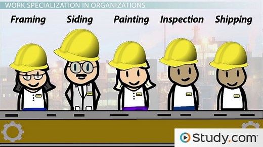 Work Specialization in Organizations