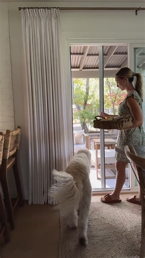 3.6K views · 29 reactions | Fresh air, more light and zero bugs! Our retractable screen for patio doors is here to level up your indoor/outdoor living. Click the link for more details: https://www.andersenhomedepot.com/doors/luminaire/patio-luminaire/ #AndersenWindows | Andersen Windows + Doors | Facebook