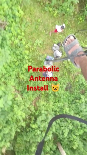 Parabolic antenna installed