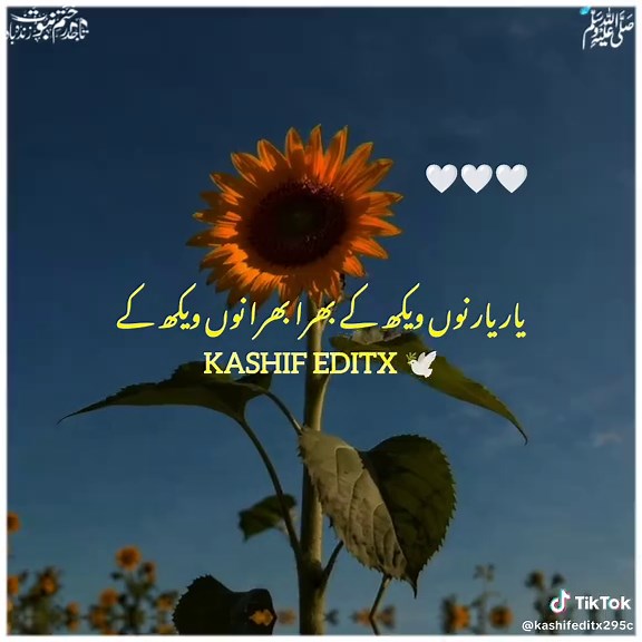 𝐊𝐀𝐒𝐇𝐈𝐅 𝐄𝐃𝐈𝐓𝐗 ♡︎ . . . . . . . . . . . . . . . . . . . . . . . . . . . . . . . . #pleasetiktokviralmyvideo🙏 #pleasetiktokviralmy #fo . . . . . . . . . . . . #unfreezemyacount #beyan . . . . . . . . . . Program . . . . . . . . . . . . . . . . . . . . Request to Tiktok Community Please don't remove this content د   Ten Unknown Facts About .Ten Unknown Facts About Unknown Facts About 213.9K ... 6,229 1. Founding and History: BMW, Bayerische Motoren Werke AG, was founded in 1916 in Munich