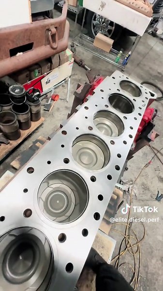 Elite Diesel Performance on TikTok