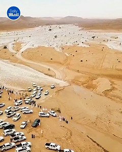 8K views · 64 reactions | Dudes gonna tell that story the rest of his life | Daily Mail What Were They Thinking? | Facebook