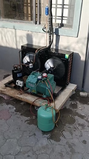 Commissioning of 8-Ton Capacity Freezer Storage Room Showcase | Ofin Global Coldrooms